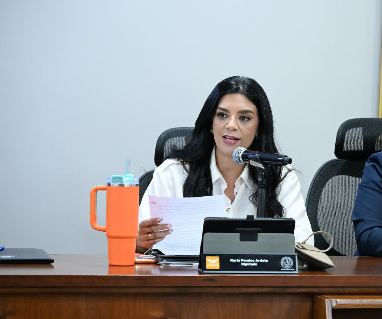 APRUEBAN RECIBIR TESTIMONIOS DE NIÑAS Y NIÑOS MEDIANTE VIDEOGRABACIONES PARA EVITAR SU REVICTIMIZACIÓN